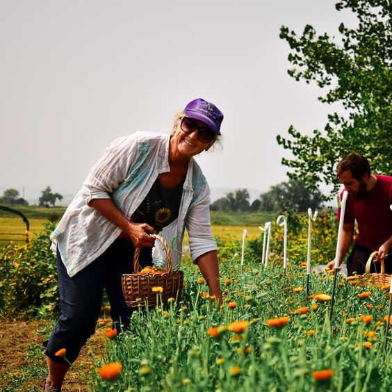 Colorado Aromatics Farm Hosts Esthetician Students for Herbal Skincare Education