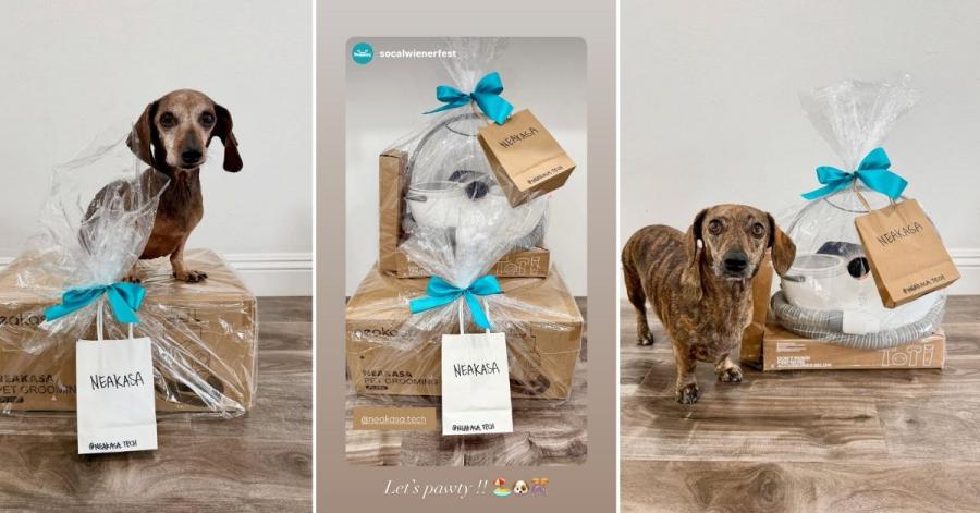 Neakasa Highlights Smart Pet Grooming at the Nation’s Largest Dachshund Festival