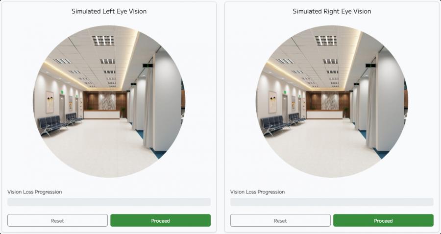 Experience Visual Impairment Through an Interactive Web Simulator
