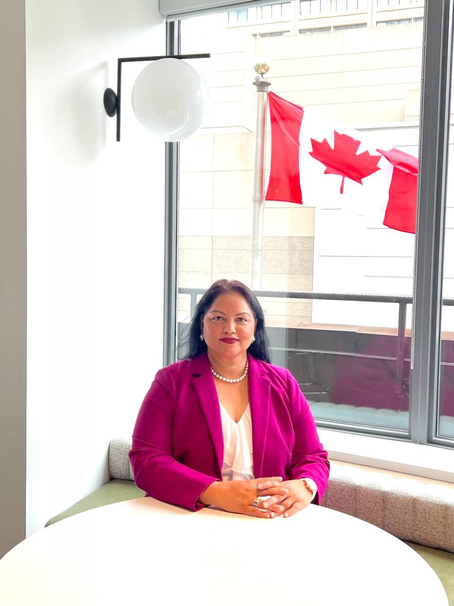 AI in Healthcare: Toronto Tech Week Session on AI Risks, Innovation, and AI Governance