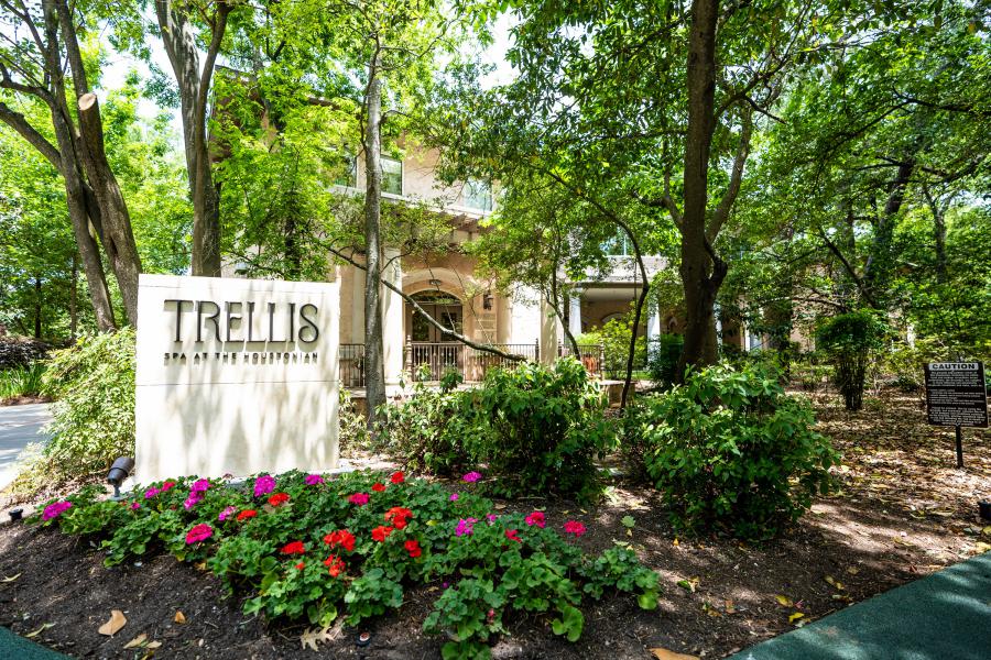 Exclusive Summer Wellness with Endospheres Therapy at Trellis Spa