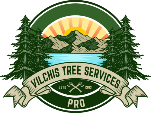 Vilchis Tree Services Pro of Acworth Publishes Emergency Tree Removal Guide to Help Homeowners After a Storm