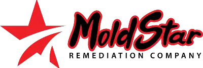 MoldStar Remediation Releases In-Depth Blog Post on Effective Mold Removal Protocols