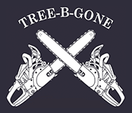 How Heavy Snow and Ice Increase the Need for Tree Removal in De Pere, WI